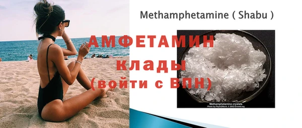 сатива Абаза