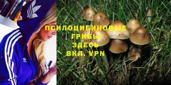 не бодяженный Абдулино