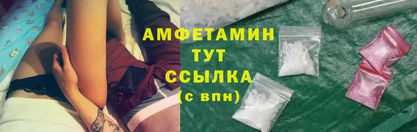 сатива Абаза