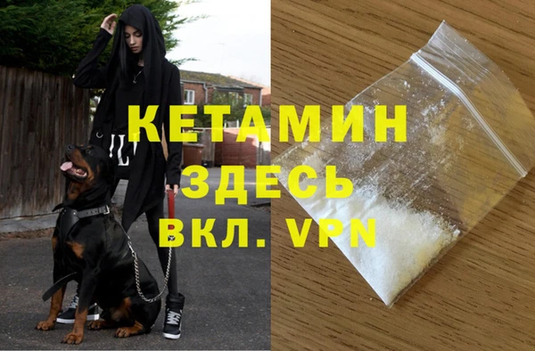 сатива Абаза