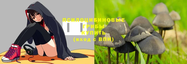 не бодяженный Абдулино