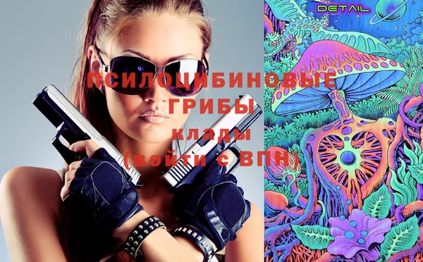 сатива Абаза
