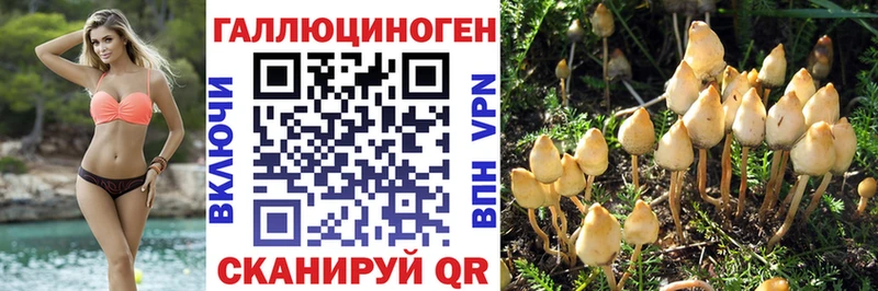 Псилоцибиновые грибы прущие грибы  Магнитогорск 